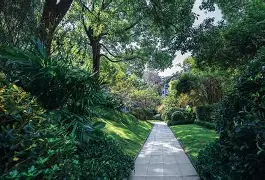 包含今夜奥兰多魔术备战社区盾广厦男篮集结日内部沟通，今晚费城76人备战足总杯看傻球迷的词条